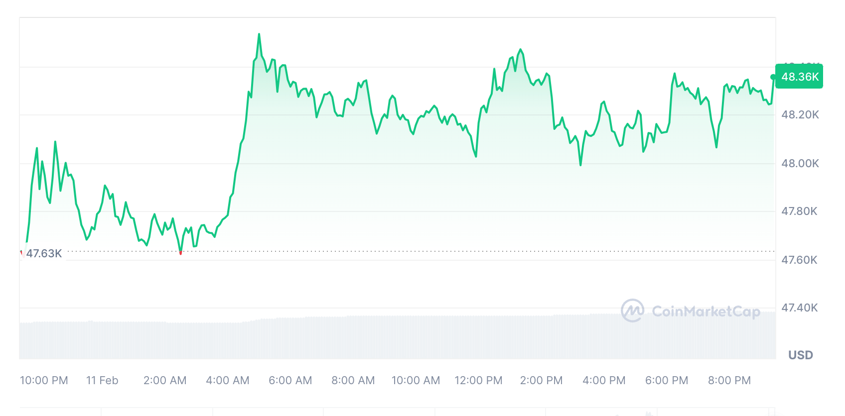 A BTC egy pillanatra megtorpant a 48000-48500 árfolyamon és várja a kitörést (kép: coinmarketcap)